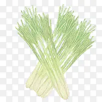 手绘蔬菜-空若网 手绘蔬菜-空若网