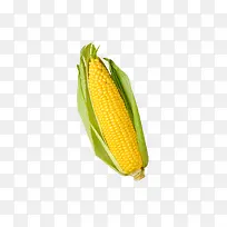 ÓñÃ×-¿ÕÈôÍø ÓñÃ×-¿ÕÈôÍø