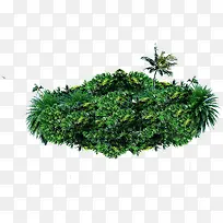 ����Ҭ��С�ݵ�С���ز�-������