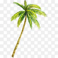 手绘椰树夏天插画-空若网 手绘椰树夏天插画-空若网