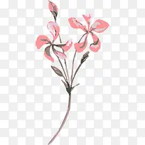 手绘粉色手绘花枝-空若网 手绘粉色手绘花枝-空若网