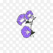 ǣţ»¨-¿ÕÈôÍø ǣţ»¨-¿ÕÈôÍø