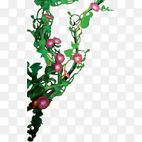 ��ɫˮ��ǣţ������-������