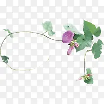 摄影合成复古牵牛花-空若网 摄影合成复古牵牛花-空若网