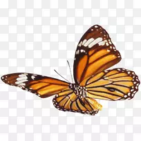 ����������װ��Ǽ�������-��-������