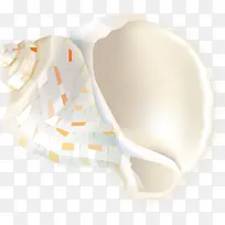 卡通海螺-空若网 卡通海螺-空若网