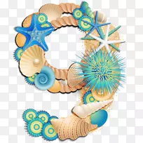 剪贴画-贝壳-空若网 剪贴画-贝壳-空若网