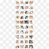 ��ͨ�ɰ�С��ͷ��-������