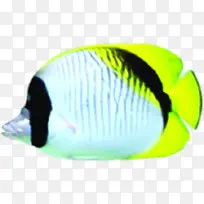 �ֻ�ɰ������ƽ��װ��-������