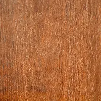 ľ�Ʊ���-������