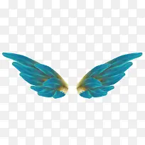 翅膀-空若网 翅膀-空若网