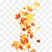 枫叶装饰素材-空若网 枫叶装饰素材-空若网