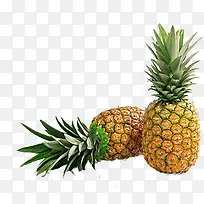 菠萝-空若网 菠萝-空若网