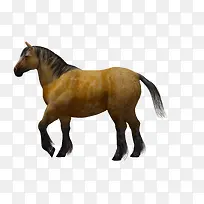 卡通素材手绘马-空若网 卡通素材手绘马-空若网