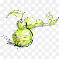 绿色甜梨素描png矢量素材-空若网 绿色甜梨素描png矢量素材-空若网