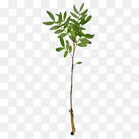 草-空若网 草-空若网