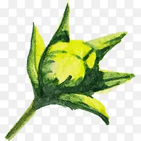 水彩花-空若网 水彩花-空若网