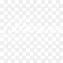 ȫʳƷ�г��л�ʳƷ������˾���-��ɫ-������