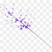 紫花-空若网 紫花-空若网