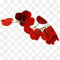 ��ɫҶ�Ӻ�ɫ֦Ҷˮ��-������