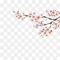 Ê÷Ö¦-¿ÕÈôÍø Ê÷Ö¦-¿ÕÈôÍø