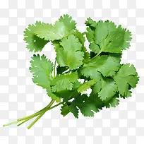 ���-������