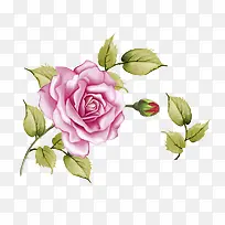 手绘花-空若网 手绘花-空若网