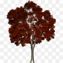 Ê÷-¿ÕÈôÍø Ê÷-¿ÕÈôÍø