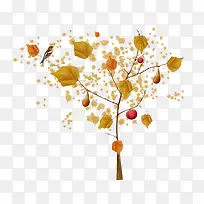 秋树-空若网 秋树-空若网