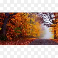 唯美秋季森林公园摄影图-空若网 唯美秋季森林公园摄影图-空若网