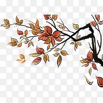 ��ɫ��ͨ�＾��֦��Ҷ��ҵ-������