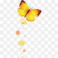 秋季黄色可爱蝴蝶-空若网 秋季黄色可爱蝴蝶-空若网