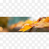秋季素材背景素材-空若网 秋季素材背景素材-空若网