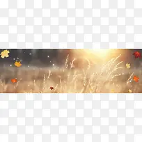 �Ա�����ͼ�＾������Ҷ-������