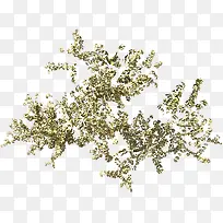 ��Ϸ������ľ-������