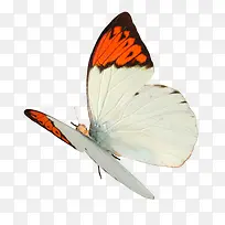 ºûµûPNG-¿ÕÈôÍø ºûµûPNG-¿ÕÈôÍø