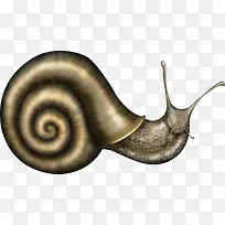 ��ͨС��ţ-������