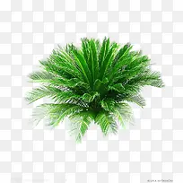 �ȴ�ֲ��  ��-������