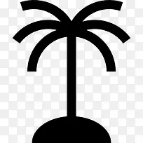 棕榈树图标-空若网 棕榈树图标-空若网