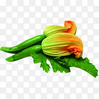 ������ɫ�߲�����«-������