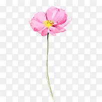 �ֻ��ɫ���ܲ廭-������