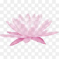 �ɰ���ɫ�ֻ�����-������