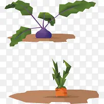 农作物矢量素材-空若网 农作物矢量素材-空若网