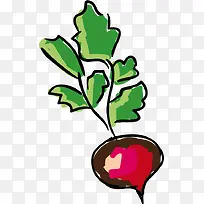 可爱萝卜矢量PNG素材-空若网 可爱萝卜矢量PNG素材-空若网