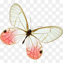 ����չ�����-������