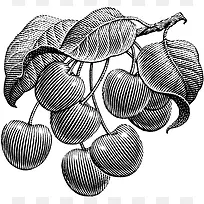 手绘黑白果子-空若网 手绘黑白果子-空若网