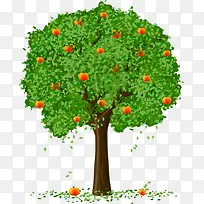 ��ͨ�� ��ɫ����-������