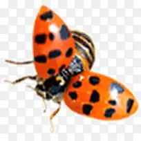 ����ư��-������