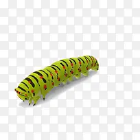 ��ɫëë��-������