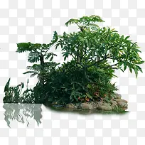 ������Ӱ�ϳ�԰����ľ-������